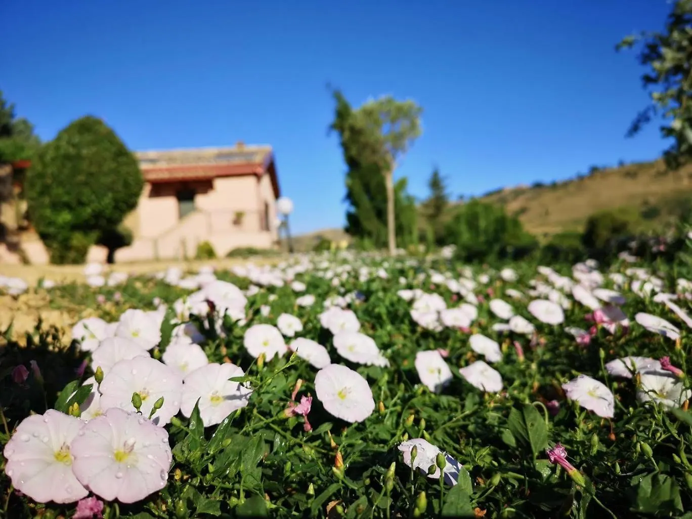 Bed & Breakfast Panorama Suite Piazza Armerina Italy